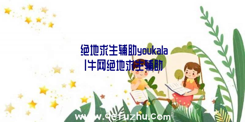 「绝地求生辅助youkala」|牛网绝地求生辅助